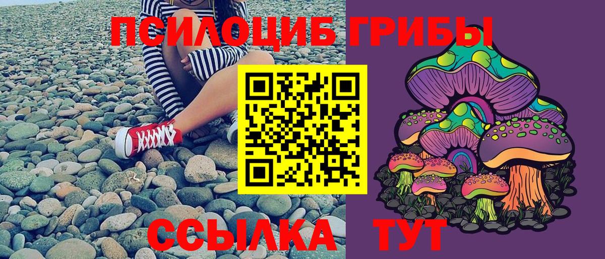 Новоалтайск  Галлюциногенные грибы Psilocybine cubensis  Галлюциногенные грибы Cubensis  Вход с VPN 